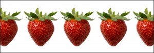 strawberries in a row for Easyart.com